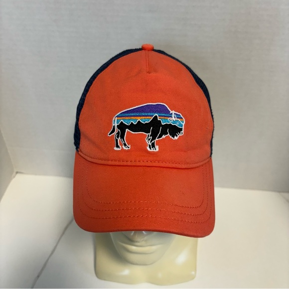 Patagonia Snapback Fitz Roy Bison Mesh Trucker Hat Spring Pink & Blue Unisex - Picture 1 of 9